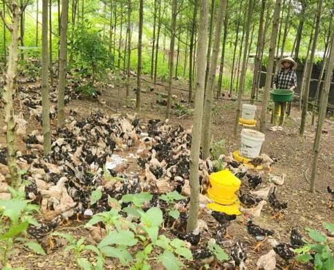 Hải Sản Phú Quốc - Ảnh 2