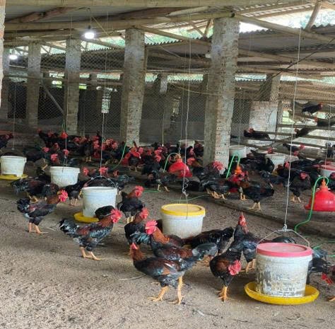 Hải Sản Phú Quốc - Ảnh 3
